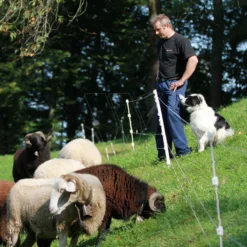 Gallagher Quattro Paal 1,00m (10) -Stijl Tuin Verkoopwinkel 064253 3 GALLAGHER