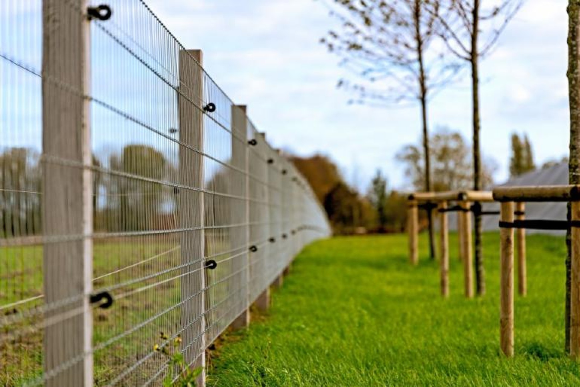 Stijl Tuin Verkoopwinkel 2 Stijl Tuin Verkoopwinkel -Stijl Tuin Verkoopwinkel hendriks omheinig didam 10